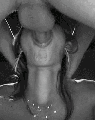cb32a13ef54575550b6a708b791e6f16.gif