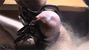 1835179.gif
