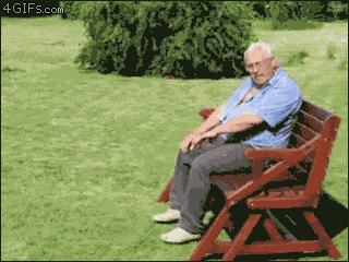 14251558.gif
