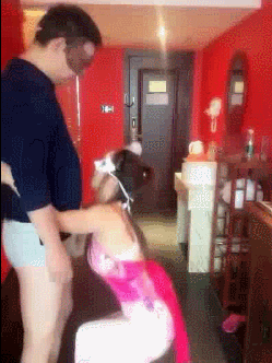 19400535.gif