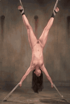 -18248bff7f5172e3bb.gif