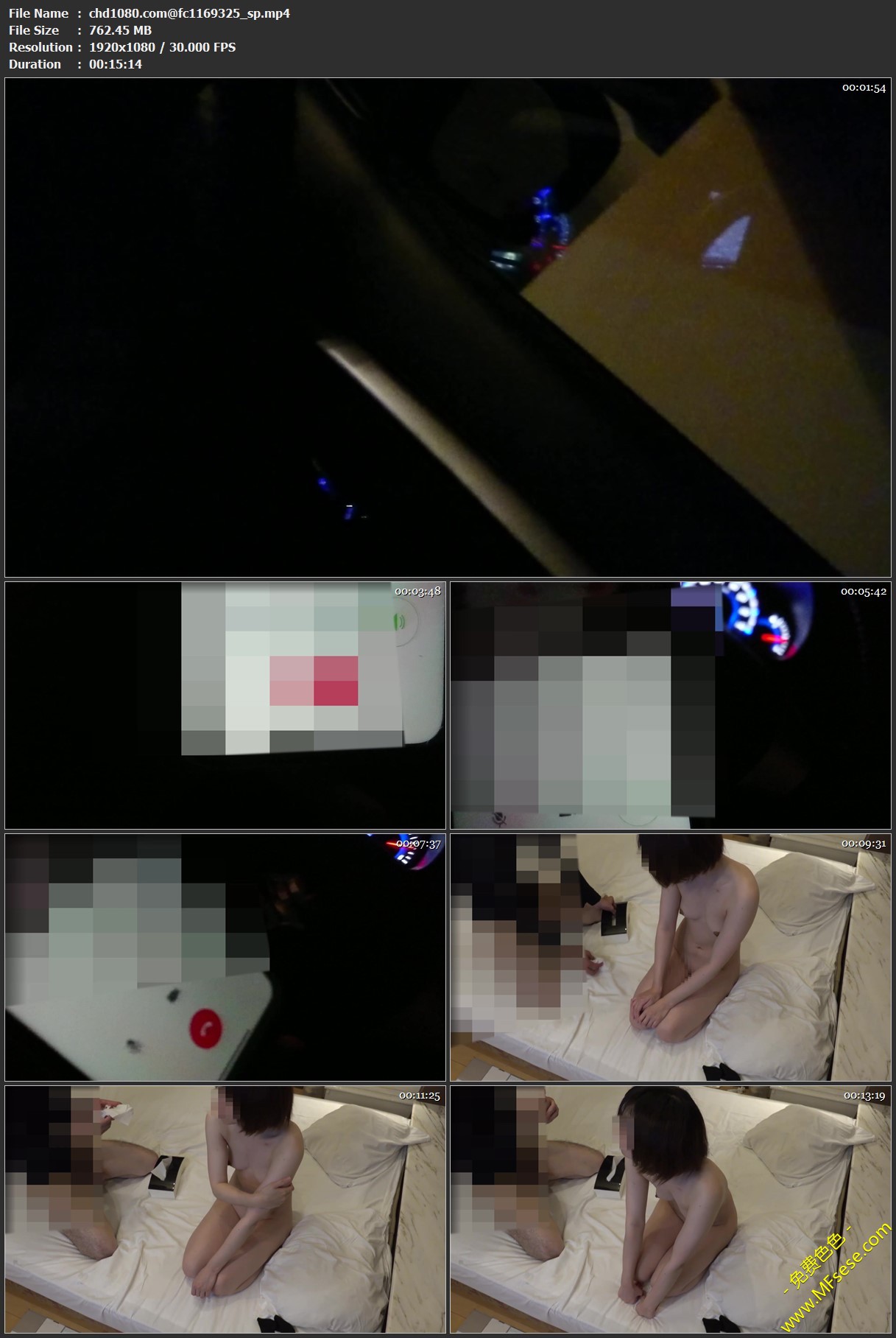 fc1169325_sp.mp4.jpg