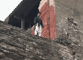 t01b4a39286cf44c013.gif