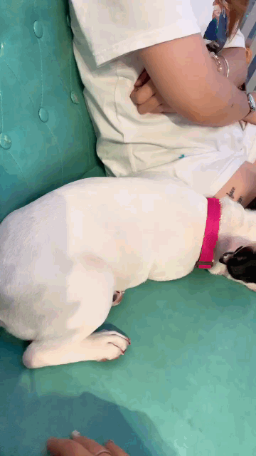 08f172e4f5d6f8797c3eafd4cb95a79b.gif