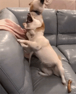 75e41e1b2d0527613103e553c7aee407.gif
