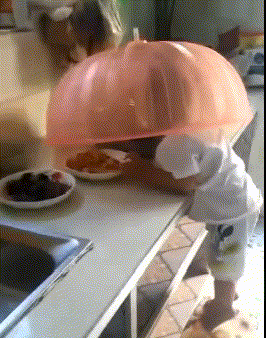 t01f4ea387e8c132dce.gif