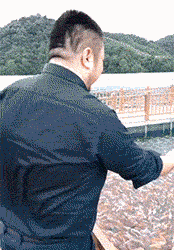 89144d786615a5d2e21e25c458299a60.gif