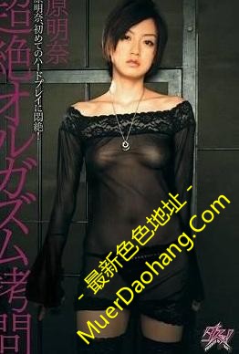 a3edde37f4d027580a27d90eae6c7151.jpg