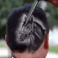 89115b4cf200418e9c76a5a44f935d48.gif