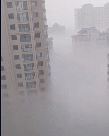 t018f870c12de8259e0.gif
