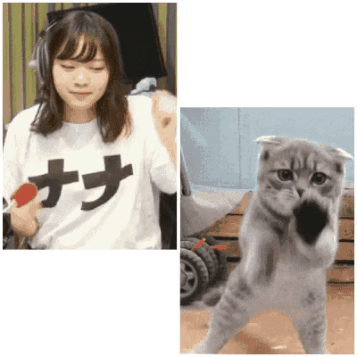 t01e9478562734c508a.gif