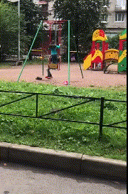 t01bd7a7cbf18c88bfe.gif