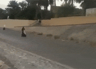 b7a6c90f62824fb4bd3d02f40d98e0bd.gif
