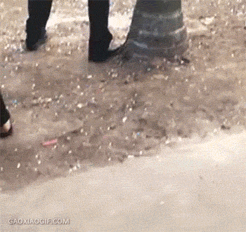 ea7a4ff138695dbd203998a0edc88ed2.gif