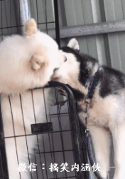 6209537424bc42b6863f9880b146e0d0.gif