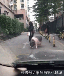 t01cf731c201cec3d62.gif