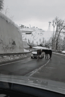 b2579ed6920f0a8f4b35e76751ad2baf.gif