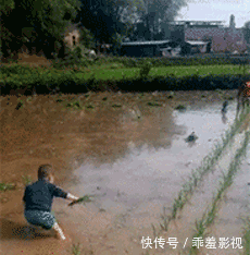 t013f35f7be19e0e2fa.gif