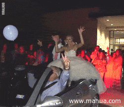 cf95791514ae3d607a97cb5dead87954.gif