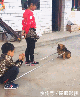 t018b237a560d00483a.gif