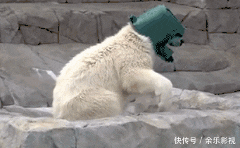 t019f078d2622ac2b22.gif