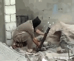 t01cf556a68016ab306.gif