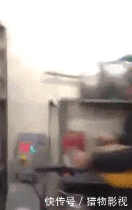 t01ac62c89433eedd04.gif
