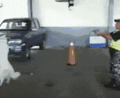 t01944b0cfbebf1b857.gif