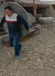 c60ca7dbff9272422188688bd059d8a9.gif