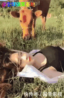 t01cecdf79928cd0317.gif