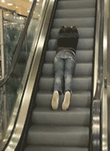 9a154ef352d546eab3ca7601ec7da014.gif