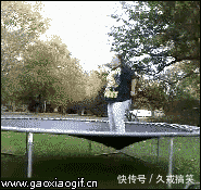 t01efef907ca76ed7c3.gif
