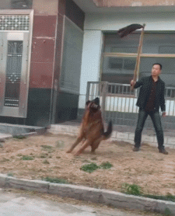 796efe840533307640c20b7022668751.gif