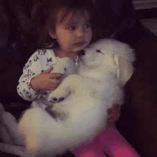 10097b6226ed6fc6c563ed3bd708c5ec.gif