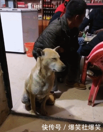 t01d77d59267ee3341b.gif