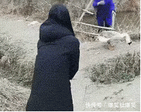t01851b53b0b8280bf1.gif
