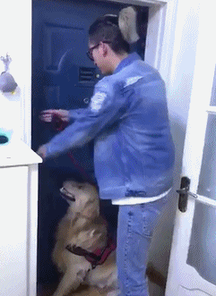 3ce2a65ef50d288fb27c080d0cc14147.gif