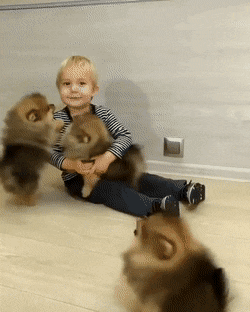 8ad81cf8a8021573587be4d0a536c11b.gif