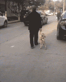 f2c1cb6bd1f90efea2b4304f87d7ac4c.gif