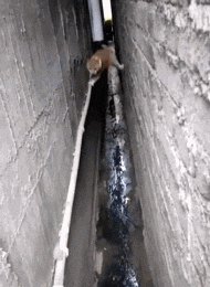 16b166b9ea02ed7be08fbd22d623ce02.gif