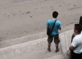 t01ff5a24febacef29d.gif