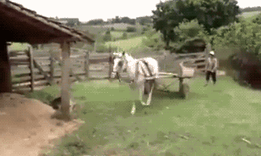t01557cd3e0fbb4830d.gif