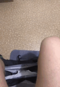 ce63c139811afd0a7b103288b8d2240b.gif
