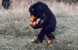 215c29e5cb2bc70aef507a773f1d5562.gif