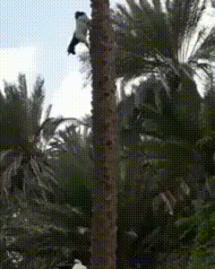 873b327f1ee192d4351b428af600365f.gif