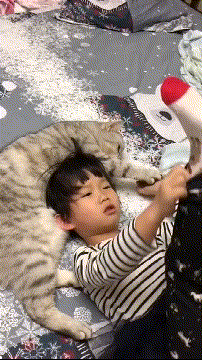 75069c395d900fa46941723ab5de0965.gif