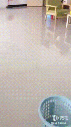 754d7704301e3bcbcd3ab8e45f3c2a17.gif