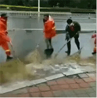 5c6cec4257b5b.gif