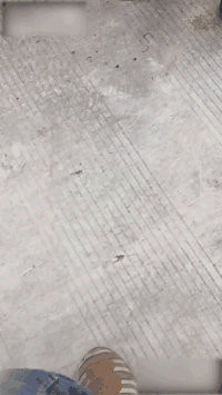 5c6ccdc8172b8.gif