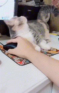 0e213fad3c9b876ac896e9bc885db20d.gif